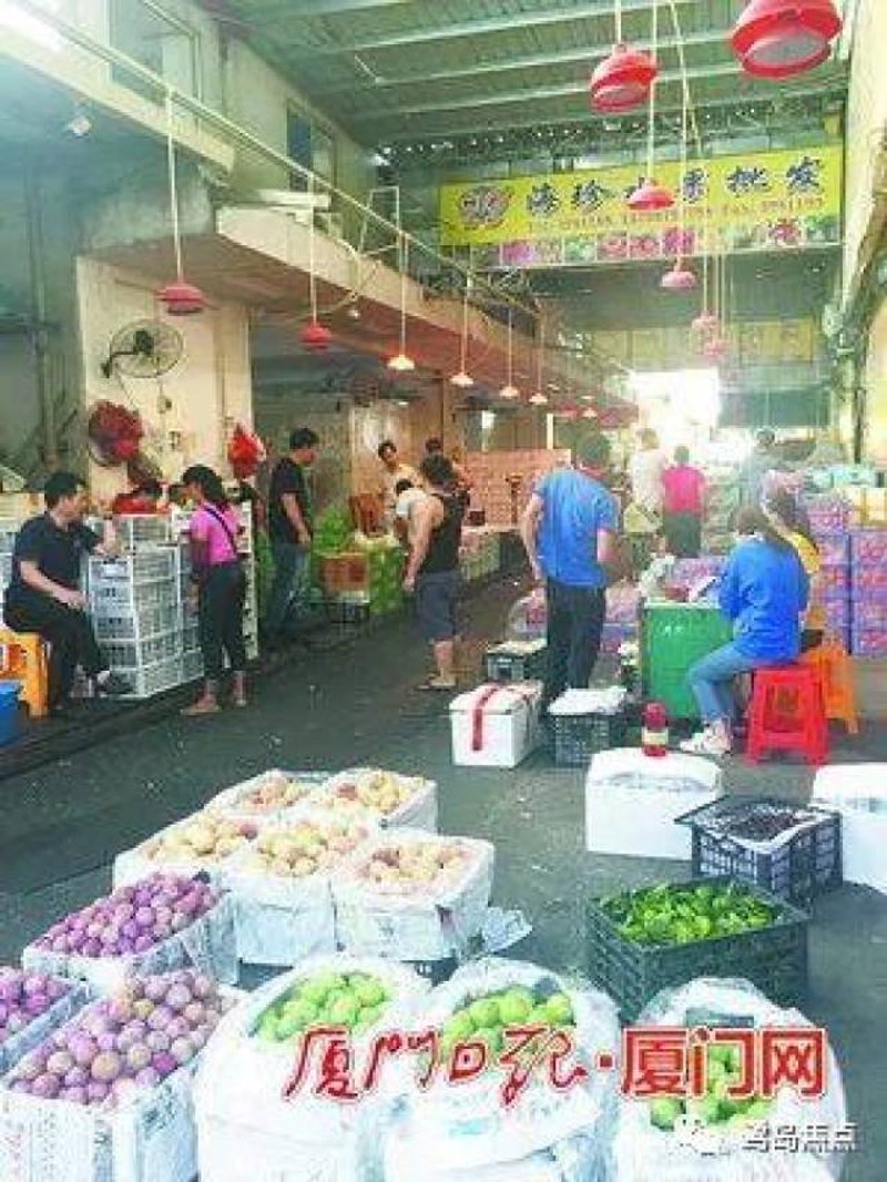实战攻略：揭开“厦门工贸”面纱，揭秘其性质